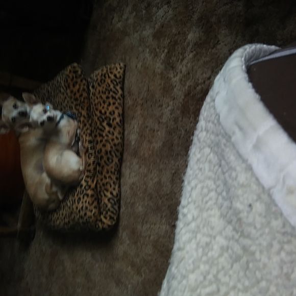 Meet your Posher, Jimmy - Picture 1 of 1